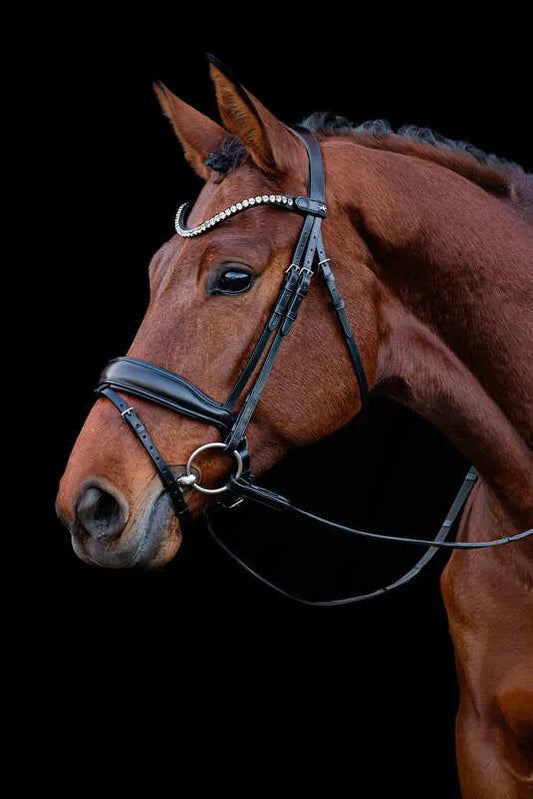 Handcrafted Leather Horse Bridle
